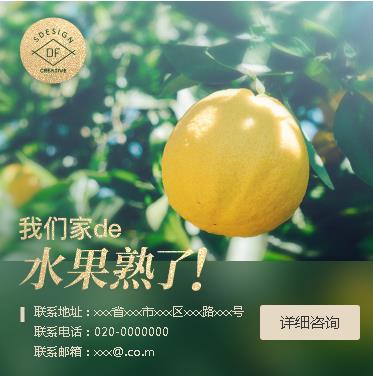 横山果园果林小程序开发